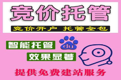 某电商平台的SEM运营实战与效果分析